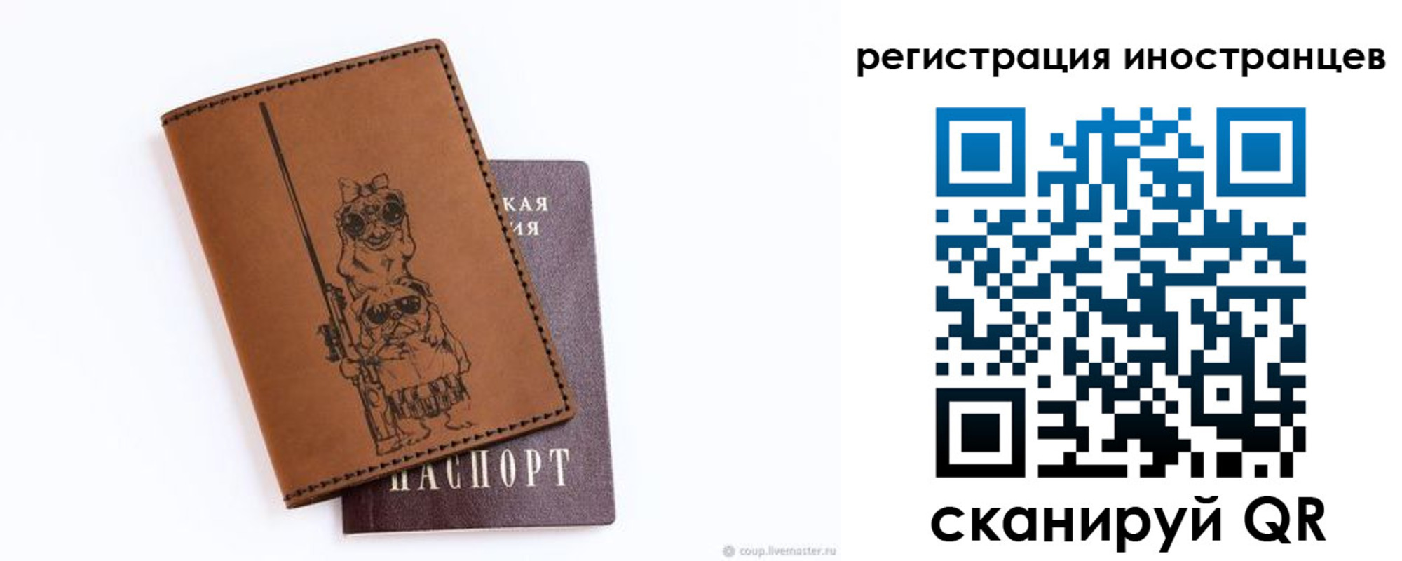 прописка гарантия в Луге